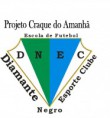 /album/galeria-de-fotos/diamante-negro-jpg1/